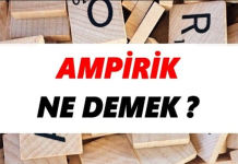 Ampirik veri, gözlemler ya da deneysel süreçlerle doğrudan elde edilen verilerdir. Bu veriler, genellikle nicel ya da nitel olabilir. Nicel veriler, sayılarla ifade edilebilen ve ölçülebilen verilerdir, örneğin bir deneyde gözlemlenen ölçümler. Nitel veriler ise, gözlemler veya araştırmalar sırasında elde edilen daha soyut verilerdir, örneğin katılımcıların görüşleri veya davranışları. Ampirik yöntem, her iki tür veriyi de kullanarak sonuçlara ulaşmayı amaçlar.