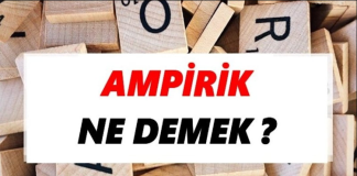 Ampirik veri, gözlemler ya da deneysel süreçlerle doğrudan elde edilen verilerdir. Bu veriler, genellikle nicel ya da nitel olabilir. Nicel veriler, sayılarla ifade edilebilen ve ölçülebilen verilerdir, örneğin bir deneyde gözlemlenen ölçümler. Nitel veriler ise, gözlemler veya araştırmalar sırasında elde edilen daha soyut verilerdir, örneğin katılımcıların görüşleri veya davranışları. Ampirik yöntem, her iki tür veriyi de kullanarak sonuçlara ulaşmayı amaçlar.
