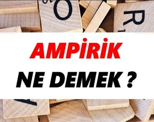 Ampirik veri, gözlemler ya da deneysel süreçlerle doğrudan elde edilen verilerdir. Bu veriler, genellikle nicel ya da nitel olabilir. Nicel veriler, sayılarla ifade edilebilen ve ölçülebilen verilerdir, örneğin bir deneyde gözlemlenen ölçümler. Nitel veriler ise, gözlemler veya araştırmalar sırasında elde edilen daha soyut verilerdir, örneğin katılımcıların görüşleri veya davranışları. Ampirik yöntem, her iki tür veriyi de kullanarak sonuçlara ulaşmayı amaçlar.