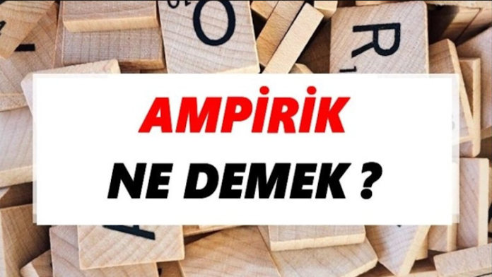 Ampirik veri, gözlemler ya da deneysel süreçlerle doğrudan elde edilen verilerdir. Bu veriler, genellikle nicel ya da nitel olabilir. Nicel veriler, sayılarla ifade edilebilen ve ölçülebilen verilerdir, örneğin bir deneyde gözlemlenen ölçümler. Nitel veriler ise, gözlemler veya araştırmalar sırasında elde edilen daha soyut verilerdir, örneğin katılımcıların görüşleri veya davranışları. Ampirik yöntem, her iki tür veriyi de kullanarak sonuçlara ulaşmayı amaçlar.