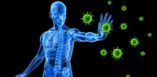 Bağışıklık sisteminin eğitilmesinde ve güçlendirilmesinde kilit rol oynar. Özellikle çocukluk döneminde yapılan aşılar, bağışıklık sistemine çeşitli patojenleri önceden tanıma ve onlara karşı hazırlıklı olma fırsatı sunar. Bu sayede olası salgınlara karşı toplumsal bağışıklık gelişir.