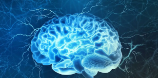 Hormonların denge içinde çalışmaması birçok ruhsal ve fiziksel sorunu beraberinde getirir. Özellikle tiroit hormonları, ruh hali üzerinde önemli etkilere sahiptir. Tiroit hormonlarındaki azalma durumunda kişi depresif, yorgun ve isteksiz hissedebilir. Aşırı hormon üretimi ise aşırı sinirlilik, huzursuzluk ve uykusuzluk gibi belirtilerle kendini gösterebilir.