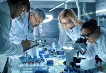 Bilim insanları, doğa bilimleri, sosyal bilimler, uygulamalı bilimler gibi birçok alanda faaliyet gösterebilir. Örneğin bir fizikçi maddeyi ve enerjiyi incelerken, bir psikolog insan davranışlarını araştırır. Bir mühendis ise bu bilgileri teknolojiye dönüştürür. Bu çeşitlilik, bilimin farklı dallarının birbirini nasıl tamamladığını da gösterir.