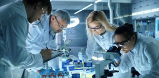 Bilim insanları, doğa bilimleri, sosyal bilimler, uygulamalı bilimler gibi birçok alanda faaliyet gösterebilir. Örneğin bir fizikçi maddeyi ve enerjiyi incelerken, bir psikolog insan davranışlarını araştırır. Bir mühendis ise bu bilgileri teknolojiye dönüştürür. Bu çeşitlilik, bilimin farklı dallarının birbirini nasıl tamamladığını da gösterir.