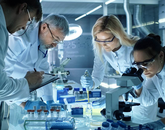 Bilim insanları, doğa bilimleri, sosyal bilimler, uygulamalı bilimler gibi birçok alanda faaliyet gösterebilir. Örneğin bir fizikçi maddeyi ve enerjiyi incelerken, bir psikolog insan davranışlarını araştırır. Bir mühendis ise bu bilgileri teknolojiye dönüştürür. Bu çeşitlilik, bilimin farklı dallarının birbirini nasıl tamamladığını da gösterir.