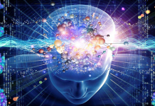 Hayvan bilinci konusu, hem etik hem de bilimsel yönden ele alınan önemli başlıklardan biri hâline geldi. Özellikle yüksek memelilerin, bazı kuş türlerinin ve hatta ahtapot gibi omurgasızların karmaşık davranışları, onların bir tür bilinç düzeyine sahip olup olmadığını gündeme getiriyor.