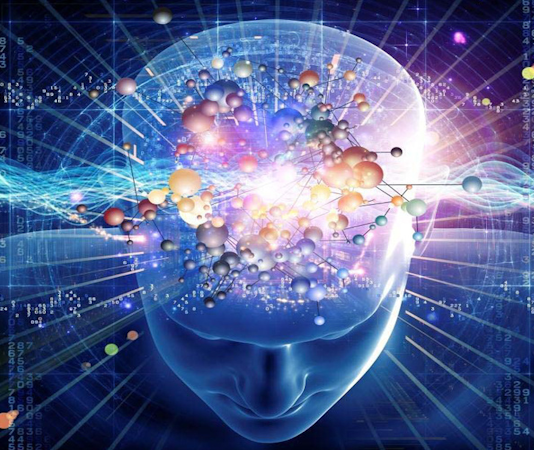 Hayvan bilinci konusu, hem etik hem de bilimsel yönden ele alınan önemli başlıklardan biri hâline geldi. Özellikle yüksek memelilerin, bazı kuş türlerinin ve hatta ahtapot gibi omurgasızların karmaşık davranışları, onların bir tür bilinç düzeyine sahip olup olmadığını gündeme getiriyor.