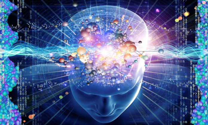 Bilinç Hayvan bilinci konusu, hem etik hem de bilimsel yönden ele alınan önemli başlıklardan biri hâline geldi. Özellikle yüksek memelilerin, bazı kuş türlerinin ve hatta ahtapot gibi omurgasızların karmaşık davranışları, onların bir tür bilinç düzeyine sahip olup olmadığını gündeme getiriyor.