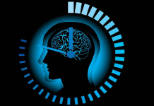 Biyolojik saatin temelinde yer alan kavramlardan biri olan sirkadiyen ritim, 24 saatlik bir döngü içerisinde vücudun fizyolojik süreçlerini senkronize eden doğal bir zamanlayıcıdır. Bu ritim, ışık ve karanlık gibi çevresel ipuçlarına bağlı olarak çalışır.