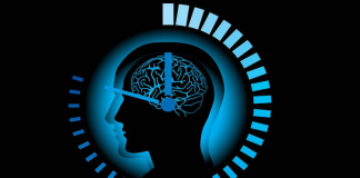 Biyolojik saatin temelinde yer alan kavramlardan biri olan sirkadiyen ritim, 24 saatlik bir döngü içerisinde vücudun fizyolojik süreçlerini senkronize eden doğal bir zamanlayıcıdır. Bu ritim, ışık ve karanlık gibi çevresel ipuçlarına bağlı olarak çalışır.