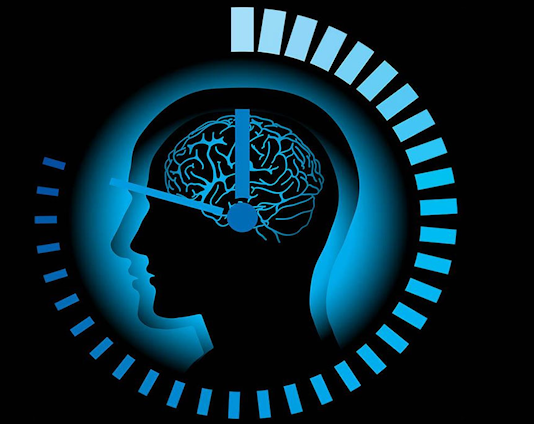 Biyolojik saatin temelinde yer alan kavramlardan biri olan sirkadiyen ritim, 24 saatlik bir döngü içerisinde vücudun fizyolojik süreçlerini senkronize eden doğal bir zamanlayıcıdır. Bu ritim, ışık ve karanlık gibi çevresel ipuçlarına bağlı olarak çalışır.