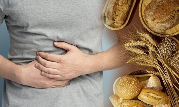 Çölyak Hastalığı, Gluten, Bağışıklık Sistemi, İnce Bağırsak, Gluten Tüketimi, Glutensiz Diyet, Besin Emilimi, Gluten İçermeyen Gıdalar, Genetik Yatkınlık, Sindirim Sistemi, Çölyak hastalığı, genetik bir hastalık olup, gluten adlı bir proteinle ciddi şekilde etkileşir ve sindirim sistemi üzerinde zararlı etkilere yol açar. Bu hastalık, bağışıklık sisteminin yanlışlıkla glutenin vücutta sindirilememesini yabancı bir madde olarak tanıyıp saldırmasıyla başlar. Gluten, buğday, arpa ve çavdar gibi tahıllarda bulunan bir protein türüdür. Çölyak hastaları, gluten tükettiklerinde ince bağırsakları zarar görür, bu da besinlerin emilimini zorlaştırır ve çeşitli sağlık sorunlarına yol açar. Glutenin yasaklanmasının arkasındaki mekanizmalar oldukça karmaşık ve hastalığın yönetimi için hayati öneme sahiptir. Bu yazıda, çölyak hastalığının glutenle olan ilişkisinin neden kritik olduğunu, glutenin sindirim sistemindeki etkilerini ve hastaların bu maddeyi neden hayatlarından tamamen çıkarmaları gerektiğini detaylı bir şekilde inceleyeceğiz. Konulu bir haber görseli.