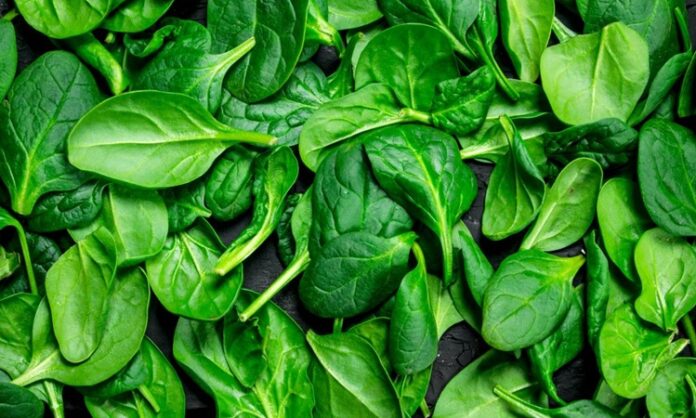 Demir eksikliği anemisi, yorgunluk ve halsizliğin en yaygın ancak çoğu zaman gözden kaçan nedenlerinden biridir. Birçok kişi, sürekli olarak yorgunluk, halsizlik ve enerji kaybı yaşasa da bunun nedeni genellikle demir eksikliği gibi basit bir sağlık sorunu olabilir. Demir, vücudumuzun doğru şekilde işlev görmesi için temel bir mineraldir. Özellikle kırmızı kan hücrelerinin üretimi ve oksijen taşınması açısından kritik bir rol oynar. Ancak demir eksikliği, bir süre fark edilmeden ilerleyebilir ve sonunda anemiye yol açabilir. Bu yazıda, demir eksikliği anemisinin belirtilerini, nedenlerini ve tedavi yöntemlerini ele alacağız. Tüm haber detayı için tıklayınız.