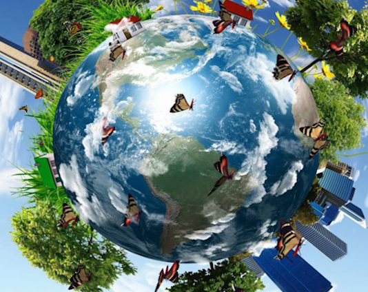 Ekosistemin dengesini yeniden kurmak, sadece çevrecilerin değil, tüm insanlığın sorumluluğudur. Bu