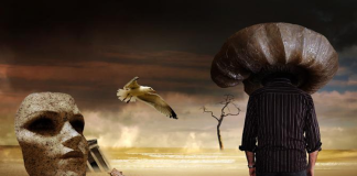 İdealizmin savunucuları, insanların dünyayı tamamen zihinsel temsiller aracılığıyla deneyimlediğini öne sürer. Bir elmaya baktığımızda, onun kokusunu aldığımızda ya da elimize aldığımızda hissettiğimiz her şey aslında beynimizde oluşan algısal temsillerdir. Ancak bu temsillerin dayandığı gerçek bir “şey” var mıdır? Yoksa tüm bunlar zihinsel projeksiyonlardan mı ibarettir?