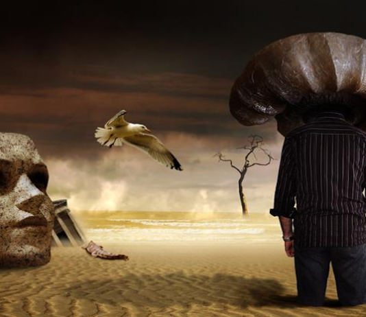 İdealizmin savunucuları, insanların dünyayı tamamen zihinsel temsiller aracılığıyla deneyimlediğini öne sürer. Bir elmaya baktığımızda, onun kokusunu aldığımızda ya da elimize aldığımızda hissettiğimiz her şey aslında beynimizde oluşan algısal temsillerdir. Ancak bu temsillerin dayandığı gerçek bir “şey” var mıdır? Yoksa tüm bunlar zihinsel projeksiyonlardan mı ibarettir?