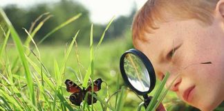 Gözlemdeki amaç, kişisel önyargılardan kaçınarak, gözlemlenen olayları olduğu gibi kaydetmektir. Bilimsel gözlemde, sistematiklik ve nesnellik çok önemlidir.