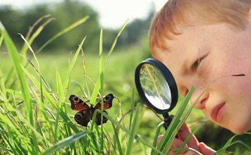 Gözlemdeki amaç, kişisel önyargılardan kaçınarak, gözlemlenen olayları olduğu gibi kaydetmektir. Bilimsel gözlemde, sistematiklik ve nesnellik çok önemlidir.