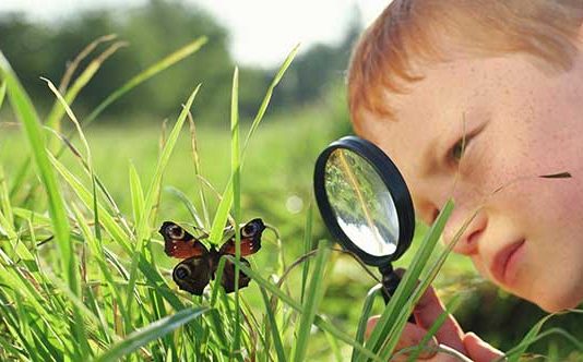 Gözlemdeki amaç, kişisel önyargılardan kaçınarak, gözlemlenen olayları olduğu gibi kaydetmektir. Bilimsel gözlemde, sistematiklik ve nesnellik çok önemlidir.
