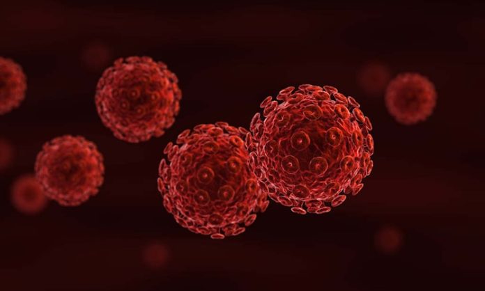 HIV (İnsan Bağışıklık Yetersizliği Virüsü), bağışıklık sistemine zarar vererek vücudun enfeksiyonlarla mücadele etme yeteneğini zayıflatan bir virüstür. Bu virüs, özellikle CD4 hücreleri olarak bilinen bağışıklık sistemi hücrelerine saldırarak onları tahrip eder. Eğer HIV tedavi edilmezse, zamanla bağışıklık sistemi ciddi şekilde zayıflar ve bu durum AIDS (Edinilmiş Bağışıklık Yetersizliği Sendromu) olarak adlandırılan daha ileri bir aşamaya dönüşebilir. Ancak HIV, doğru tedaviyle kontrol altına alınabilir ve AIDS evresine geçiş engellenebilir. HIV ile yaşamayı öğrenmek, erken tanı ve tedavi ile mümkündür. Bu yazıda, HIV’in ne olduğunu, nasıl AIDS’e dönüştüğünü ve AIDS ile HIV arasındaki farkları detaylı bir şekilde ele alacağız. Konulu bir haber görseli.