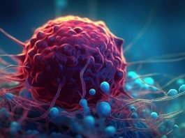 Kanser, dünya genelinde giderek artan bir sağlık sorunu olarak karşımıza çıkmaktadır. Bu hastalık, hücrelerin kontrolsüz bir şekilde çoğalmasıyla ortaya çıkar ve sağlıklı dokulara zarar vererek vücut sistemlerinin dengesini bozar.