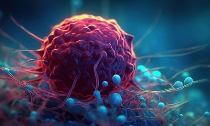 Kanser, dünya genelinde giderek artan bir sağlık sorunu olarak karşımıza çıkmaktadır. Bu hastalık, hücrelerin kontrolsüz bir şekilde çoğalmasıyla ortaya çıkar ve sağlıklı dokulara zarar vererek vücut sistemlerinin dengesini bozar.