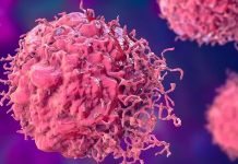 Kanser hücreleri, normal hücrelerin genetik materyalinde meydana gelen mutasyonlar sonucunda ortaya çıkar. İnsan vücudu, sürekli olarak hücrelerini yenileyen bir yapıya sahiptir ve bu hücrelerin bölünmesi sıkça gerçekleşir.