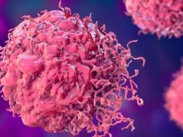 Kanser hücreleri, normal hücrelerin genetik materyalinde meydana gelen mutasyonlar sonucunda ortaya çıkar. İnsan vücudu, sürekli olarak hücrelerini yenileyen bir yapıya sahiptir ve bu hücrelerin bölünmesi sıkça gerçekleşir.