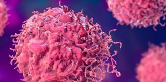 Kanser hücreleri, normal hücrelerin genetik materyalinde meydana gelen mutasyonlar sonucunda ortaya çıkar. İnsan vücudu, sürekli olarak hücrelerini yenileyen bir yapıya sahiptir ve bu hücrelerin bölünmesi sıkça gerçekleşir.