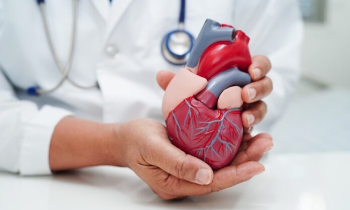 Dünya genelinde en sık görülen ölüm nedenleri arasında ilk sıralarda yer alan kardiyovasküler hastalıklar, her geçen yıl daha fazla insanı etkiliyor. Kalp ve damar sistemini ilgilendiren bu rahatsızlıklar, yalnızca ileri yaş grubunu değil, gençleri de tehdit etmeye başlamış durumda. Artan vaka sayıları, sadece tıbbi değil toplumsal ve ekonomik bir kriz olarak da değerlendiriliyor. Bu durum, beslenme alışkanlıkları, yaşam tarzı, stres seviyesi ve çevresel faktörler gibi birçok etkene bağlı olarak gelişiyor. Kalp hastalıklarının bu kadar yaygınlaşmasındaki nedenleri anlamak, hem bireysel önlem almak hem de toplum genelinde farkındalık yaratmak açısından büyük önem taşıyor. Konulu bir haber görseli.