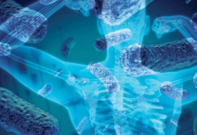 Mikrobiyomun bir diğer önemli rolü ise bağışıklık sistemi ile ilgilidir. Bağırsaklardaki bakteriler, bağışıklık hücrelerini uyararak vücudun enfeksiyonlara karşı savunmasını düzenler. Mikrobiyom dengesi bozulduğunda, vücut savunmasız kalabilir veya tam tersi şekilde aşırı tepki vererek otoimmün hastalıklara zemin hazırlayabilir.