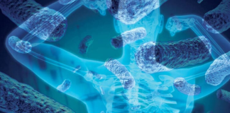 Mikrobiyomun bir diğer önemli rolü ise bağışıklık sistemi ile ilgilidir. Bağırsaklardaki bakteriler, bağışıklık hücrelerini uyararak vücudun enfeksiyonlara karşı savunmasını düzenler. Mikrobiyom dengesi bozulduğunda, vücut savunmasız kalabilir veya tam tersi şekilde aşırı tepki vererek otoimmün hastalıklara zemin hazırlayabilir.