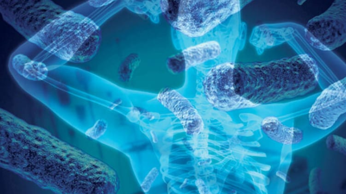 Mikrobiyomun bir diğer önemli rolü ise bağışıklık sistemi ile ilgilidir. Bağırsaklardaki bakteriler, bağışıklık hücrelerini uyararak vücudun enfeksiyonlara karşı savunmasını düzenler. Mikrobiyom dengesi bozulduğunda, vücut savunmasız kalabilir veya tam tersi şekilde aşırı tepki vererek otoimmün hastalıklara zemin hazırlayabilir.