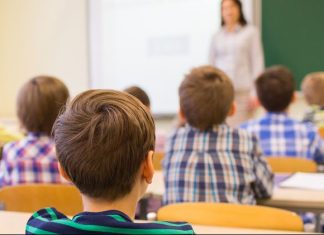 Öğrenci merkezli eğitim sistemi, öğrencilerin kendi öğrenme süreçlerinde aktif rol oynadığı bir öğretim modelidir. Bu sistemde öğretmen, yalnızca bilgiyi aktaran bir araç değil, öğrencinin öğrenme yolculuğunda rehberlik eden bir figürdür. Öğrencilerin bireysel ilgi alanlarına, öğrenme stillerine ve ihtiyaçlarına göre ders içerikleri şekillenir.