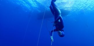 Serbest dalışın kökenleri oldukça eskiye dayanır. Yüzyıllar boyunca balıkçılar, inci toplayıcıları ve deniz altı avcıları su altına dalmak zorunda kalmışlardır. Ancak modern anlamda serbest dalış, 20. yüzyılın ortalarında spor haline dönüşmüştür.