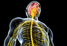 Sinir sistemi içindeki karşılıkları henüz tam olarak açıklanamıyor. Ancak yapay zekâ, nöro görüntüleme ve genetik çalışmalar, bu sırların çözülebileceği umudunu artırıyor.