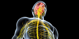 Sinir sistemi içindeki karşılıkları henüz tam olarak açıklanamıyor. Ancak yapay zekâ, nöro görüntüleme ve genetik çalışmalar, bu sırların çözülebileceği umudunu artırıyor.