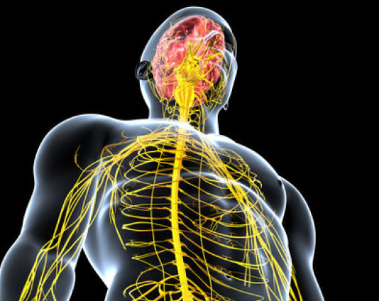 Sinir sistemi içindeki karşılıkları henüz tam olarak açıklanamıyor. Ancak yapay zekâ, nöro görüntüleme ve genetik çalışmalar, bu sırların çözülebileceği umudunu artırıyor.