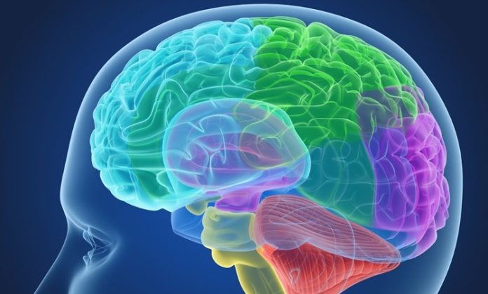 Sosyal-Duygusal-Ogrenme-Nedir-Egitimle-Nasil-Butunlesir Eğitimde sosyal duygusal öğrenmenin önemine dikkat çeken pek çok araştırma bulunmaktadır. SDÖ, öğrencilerin sadece akademik başarılarını değil, kişisel gelişimlerini de destekler. Sosyal duygusal beceriler, öğrencilerin sınıf içindeki etkileşimlerini ve iletişimlerini güçlendirir, bu da genel olarak öğrenme ortamını iyileştirir.