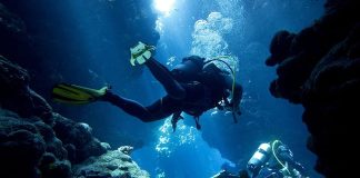 Dalgıçlık birkaç farklı kategoriye ayrılır. En bilinen türlerden biri spor amaçlı dalıştır. Bu tür dalışlar genellikle turistik bölgelerde, dalış kurslarıyla birlikte yapılır. Rekreatif dalış olarak da bilinir.