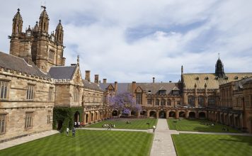 Tezler genellikle iki ana gruba ayrılır: nitel ve nicel çalışmalar. Nitel çalışmalar daha çok gözlem, görüşme ve doküman analizine dayanırken, nicel çalışmalar istatistiksel veriler ve sayısal analizlerle ilerler.