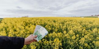 Ticaret, en basit tanımıyla mal veya hizmetlerin alım-satım yoluyla el değiştirmesi sürecidir. Ancak bu tanım, günümüzde dijitalleşmenin, küreselleşmenin ve pazar yapılarının değişmesiyle çok daha kapsamlı hale gelmiştir. Artık ticaret yalnızca bir dükkân açmak ya da bir ürünü satmakla sınırlı değildir. Ticaret olarak ne yapılır? sorusu, girişimcilik yoluna çıkmak isteyen herkesin sorması gereken ilk sorulardandır. Bu soruya verilen yanıt, yalnızca yapılabilecek işleri değil, aynı zamanda o işin sürdürülebilir olup olmayacağını da belirler. Konulu bir haber görseli.