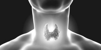 İnsan vücudu, hayatta kalmak ve sağlıklı kalabilmek için kusursuz bir hormon dengesine ihtiyaç duyar. Bu dengeyi sağlayan organlardan biri olan tiroid bezi, boynun ön kısmında yer alır ve metabolizma başta olmak üzere pek çok yaşamsal fonksiyonu yöneten hormonları salgılar. Kelebek şeklindeki bu küçük bez, göründüğünden çok daha fazla öneme sahiptir. Tiroid hormonları, hücrelerin enerji üretiminden vücut ısısına, kalp atış hızından zihinsel aktivitelere kadar birçok alanda belirleyici rol oynar. Bu nedenle tiroid bezlerinin salgıladığı hormonların bilinmesi, hem hastalıkların önlenmesi hem de mevcut rahatsızlıkların doğru tedavisi açısından hayati önem taşır. Konulu bir haber görseli