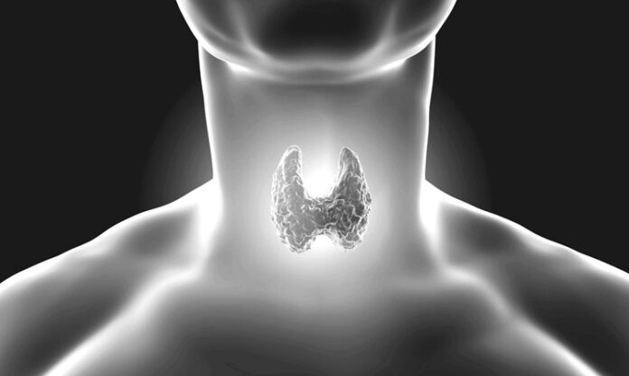 İnsan vücudu, hayatta kalmak ve sağlıklı kalabilmek için kusursuz bir hormon dengesine ihtiyaç duyar. Bu dengeyi sağlayan organlardan biri olan tiroid bezi, boynun ön kısmında yer alır ve metabolizma başta olmak üzere pek çok yaşamsal fonksiyonu yöneten hormonları salgılar. Kelebek şeklindeki bu küçük bez, göründüğünden çok daha fazla öneme sahiptir. Tiroid hormonları, hücrelerin enerji üretiminden vücut ısısına, kalp atış hızından zihinsel aktivitelere kadar birçok alanda belirleyici rol oynar. Bu nedenle tiroid bezlerinin salgıladığı hormonların bilinmesi, hem hastalıkların önlenmesi hem de mevcut rahatsızlıkların doğru tedavisi açısından hayati önem taşır. Konulu bir haber görseli
