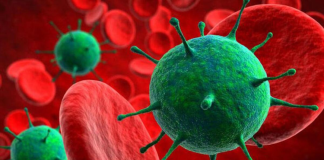 Virüsler ise bu spektrumun ortalarında, yaşam ile cansızlık arasında bir yerde konumlanır. Bu fikir, virüsleri hem canlı hem cansız özellikler taşıyan özel yapılar olarak tanımlamamıza olanak tanır.