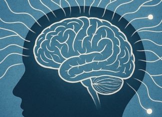Zihin haritası, bilgiyi görsel olarak düzenlemeye yönelik bir tekniktir. Bu yöntem, ana fikrin merkeze yerleştirilip, ardından ilgili alt başlıkların dallanarak etrafında sıralanmasıyla şekillenir. Z